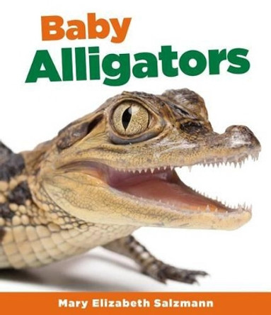 Baby Alligators by Mary Elizabeth Salzmann 9781624035074