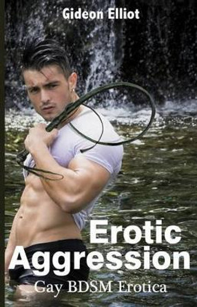 Erotic Aggression: Gay BDSM Erotica by Gideon Elliot 9781627614573