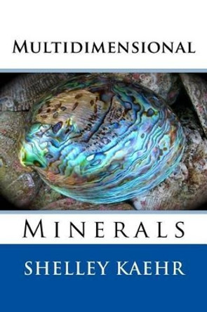 Multidimensional Minerals by Shelley Kaehr 9781495414534