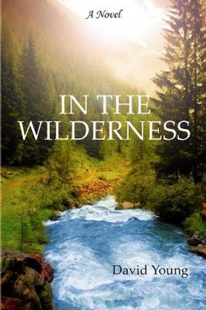 In the Wilderness by David Young 9781481942881