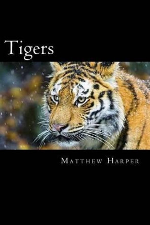 Tigers: A Fascinating Book Containing Tiger Facts, Trivia, Images & Memory Recall Quiz: Suitable for Adults & Children by Matthew Harper 9781500115531