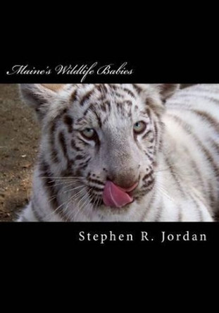 Maine's Wildlife Babies: D.E.W. Animal Kingdom Baby Residents by Stephen R Jordan 9781496053725