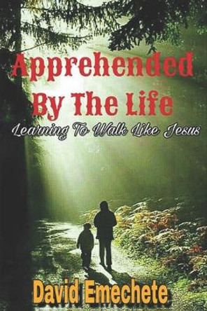 Apprehended By The Life: Learning To Walk Like Jesus by David Emechete 9781688218338