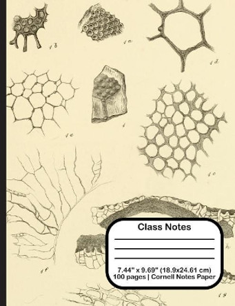 Class Notes by Terri Jones 9781719922647