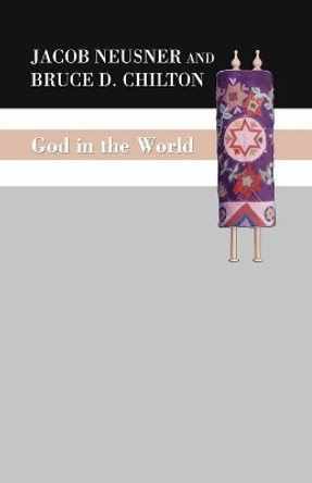 God in the World by Bruce Chilton 9781592446438