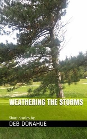 Weathering the Storms: Three Short Stories. Three Shifts in Thinking by Deb Donahue 9781517478582