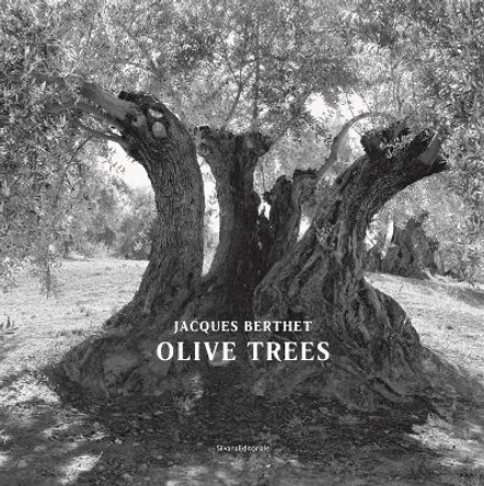 Olive Trees: Jacques Berthet by Jacques Berthet