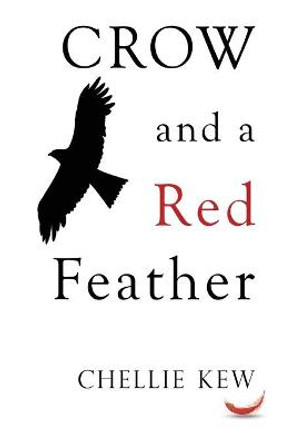 Crow and a Red Feather by Chellie Kew