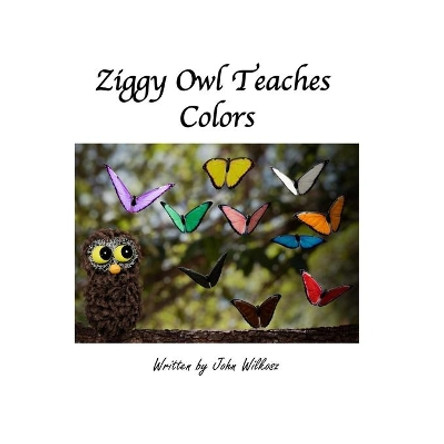 Ziggy Owl Teaches Colors by John Wilkosz 9781670482525