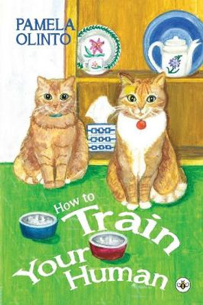 How to Train Your Human by Pamela Olinto