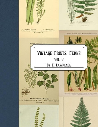 Vintage Prints: Ferns: Vol. 7 by E Lawrence 9781721233151