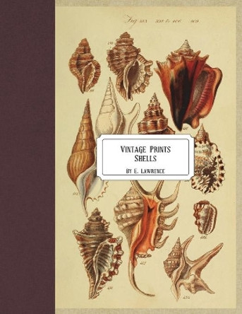 Vintage Prints: Shells by E Lawrence 9781721949328