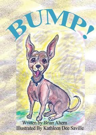 Bump! by Brian J Ahern 9781635530001