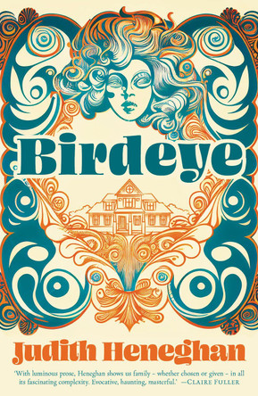 Birdeye by Judith Heneghan 9781784633264