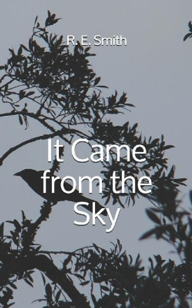 It Came from the Sky by R E Smith 9781793951212