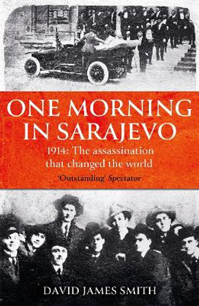 One Morning In Sarajevo: The story of the assassination that changed the world by David James Smith