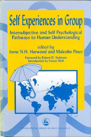 Self Experiences in Group: Intersubjective and Self Psychological Pathways to Human Understanding by Irene Harwood