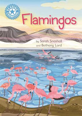 Reading Champion: Flamingos: Independent Reading non-fiction Blue 4 by Sarah Snashall