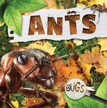 Ants by William Anthony 9781534537507