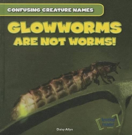 Glowworms Are Not Worms! by Daisy Allyn 9781482409413