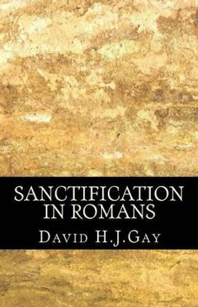 Sanctification in Romans by David H J Gay 9781490431932