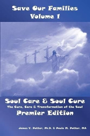 Soul Care & Soul Cure: An Introduction to Pastoral Care by Paula M Potter Ma 9781491054987