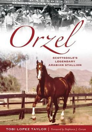 Orzel: Scottsdale's Legendary Arabian Stallion by Tobi Lopez Taylor 9781626199620