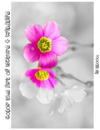 In Bloom: Color the Art of Nature + Wildlife by Tiffany Photography 9781537628929