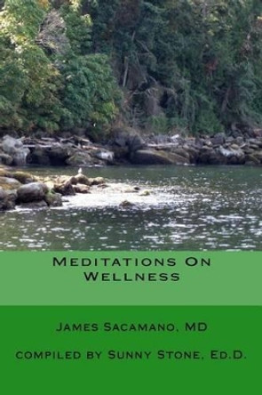 Meditations On Wellness: Coming Back To Wholeness by Sunny Stone Ed D 9781512336344