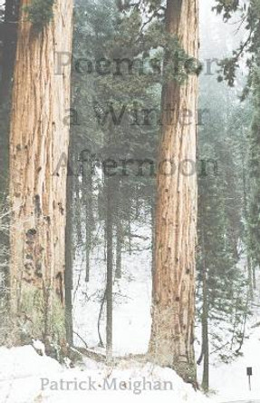 Poems for a Winter Afternoon by Patrick Meighan 9781947021709