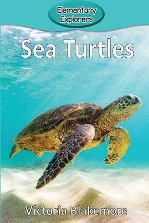 Sea Turtles by Victoria Blakemore 9781947439948