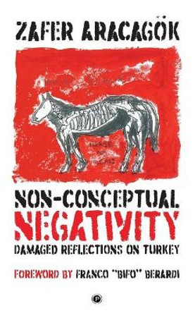 Non-Conceptual Negativity: Damaged Reflections on Turkey by Zafer Aracagök 9781950192038