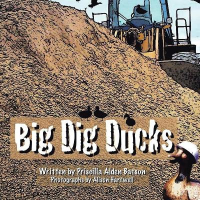 Big Dig Ducks by Priscilla Batson 9781957582023