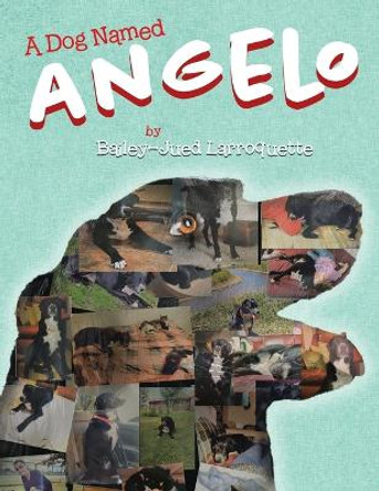 A Dog Named Angelo by Bailey-Jued Larroquette 9781960764188