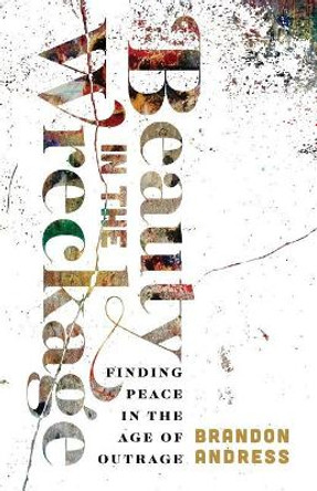 Beauty in the Wreckage: Finding Peace in the Age of Outrage by Brandon Andress 9781938480362