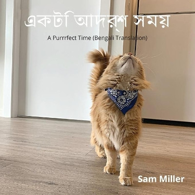 একটি আদর্শ সময় by Sam Miller 9781777549008