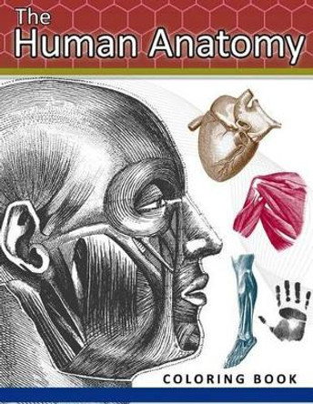 The Human Anatomy Coloring Book: 2nd Edtion by Dr Juanita C Sanchez 9781537528731