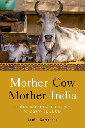 Mother Cow, Mother India: A Multispecies Politics of Dairy in India by Yamini Narayanan