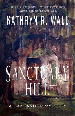 Sanctuary Hill by Kathryn R Wall 9781933523323
