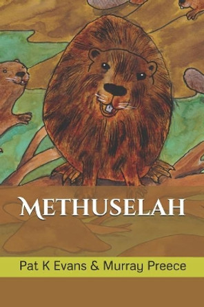Methuselah by Murray Preece 9781790307425