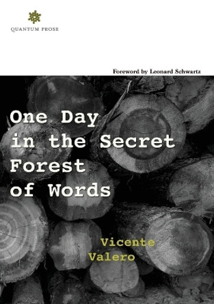 One Day in the Secret Forest of Words by Vicente Valero 9780997301434