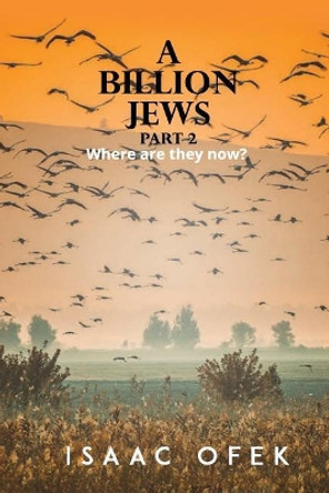 A Billion Jews: Part 2: Where are they now? by Isaac Ofek 9781984221506