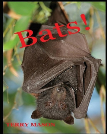 Bats: Learn About These Strange and Wonderful Creatures of the Night by Terry Mason 9781975917555