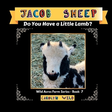 Jacob Sheep: Do You Have A Little Lamb? by Carolyn Wild 9781998062126