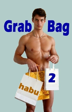 Grab Bag 2: An Unthemed Gay Erotica Anthology by Habu 9781922187260