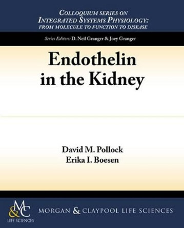 Endothelin in the Kidney by David Pollock 9781615042104