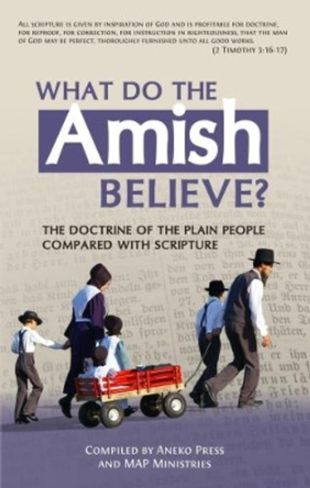 What Do the Amish Believe?: The Doctrine of the Plain People Compared with Scripture by Aneko Press 9781622454044