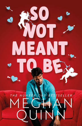 So Not Meant To Be: The steamy and hilarious no. 1 bestseller inspired by When Harry Met Sally by Meghan Quinn