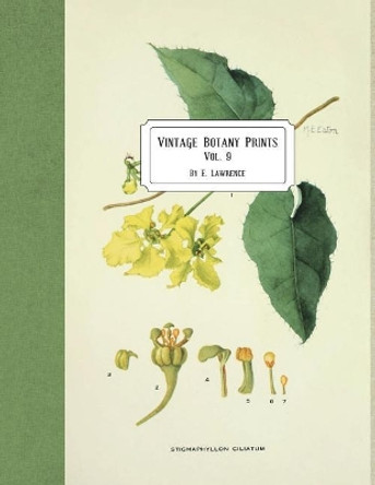 Vintage Botany Prints: Vol. 9 by E Lawrence 9781722424534