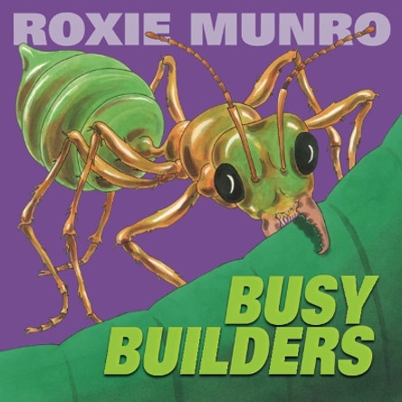 Busy Builders by Roxie Munro 9781662522154